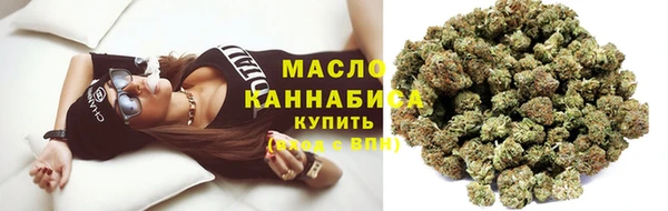 прущий лед Дмитриев