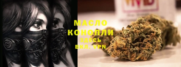 прущий лед Дмитриев