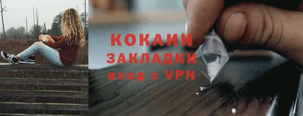 прущий лед Дмитриев