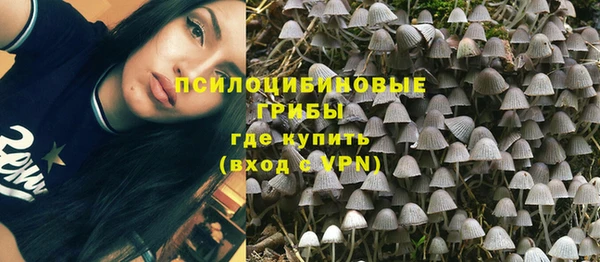 бошки Елабуга